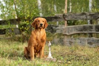 24aaa73c2395ae9c7700172050625a38_195