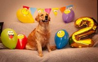 24b11983e38335461dddb4ecf6a3676b_202