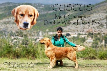 24e2516174e971cb0d5ec4b4b90a8d22_368