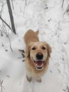 251361c49fb6df08b42a41b6cf5bc118_138x184_fill