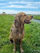 2523f8a0b492127fee45118be90bb5e1_138x184_fill