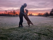 263f992f5e69936490d0b5862ede8738_183