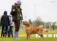 264209cec7e28ebad228f077a4842b31_190