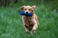 26af701fb55e01eef4c598d4a8d7985f_195x130_fill