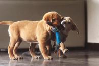 271e0eaaa40530617d447383e0c95851_194