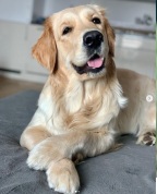 272d49ba5970bbd1f3fe5dbaa99be5d3_144x178