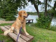 2771c346a4a34926b3de5822ca33b045_184x138_fill