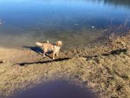 27e3aeb6efd8a1ee9262d482033ead3f_184x138_fill