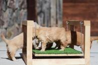 283f4ed99c647530ed8ba0c4d656e548_195