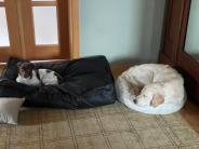 289e84373ed0bb7f689153c88c4ca9a2_184x138_fill