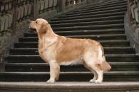 28abe8f993731832a791a0259227338f_195