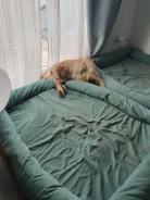 28fe9c0e63d6db3496ab5945f77cfe20_138x184_fill