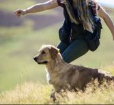 2936e8e2db7d779a7b10f4eaff33180e_167