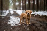 295ab9afe6538d8e04e20b45295cd7f8_195