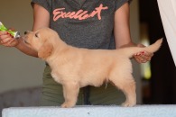 2989bdd29f5b23f04fd96033b4f61e53_195