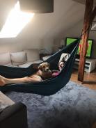 2a101f11dae40ea7476d949eaaede8a5_138x184_fill