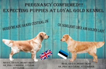 2a11a031c0385e743214d48cca74167e_371