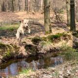 2a125bab9a5267d11dea9a50d24b9f81_160x160