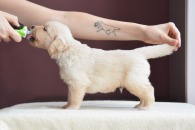 2a142940ab11ac66f55b729c1647b862_195