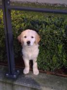 2a3ef65983b8f03aae295578208d1713_138x184