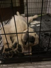 2a3f9ddeab7d1069f862cf46c23d91d9_174x232_fill