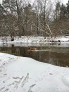 2aa279c3be740477238b8affede6208f_138x184_fill