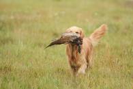 2af1c58be2ba71d7a7ec2b44f90a7279_195x130_fill