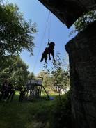 2af63f21de4839249a8ec319e7281c60_138x184_fill