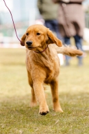 2b0a2fff987c221783fd242fa5550122_130x195