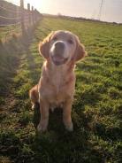 2b643b852376ca22e89c882db32b5cfe_138x184_fill