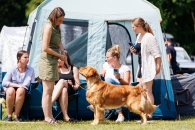 2c1bc73c07ad5321e6b86dbdfaa64b23_195