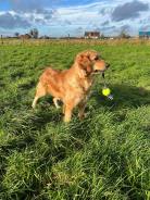 2c3aa3ce55d23326d428d8898b6ce6fb_138x184_fill