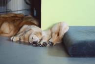 2c64eafae83babf860cfb1d7f529e11d_194