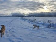 2c86f7a51a56b2a284f8c35e3e3e93f0_184x138_fill