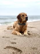 2c99a0680316fdd41f01cc83c5760b2e_138x184_fill