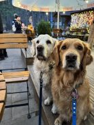 2cac5d29a807f8a8c5909e7abedc3d1d_138x183