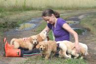 2cba0cbe170f39cf6380ad2944e5a7ee_195