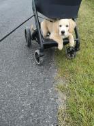 2ce5da84eb118ec345bc91a300b3e348_138x184_fill