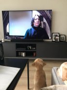 2d7a8b8a942d55682727f253a6dea93a_138x184_fill