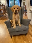 2e19ecad611ecb7f6055fe5547d9c888_138x184_fill