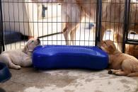 2e1b8e5a33a1754ecf8df6b1dec23a37_195