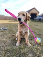 2e5f614d8c8a78e666f1c9a231e87564_138x184_fill