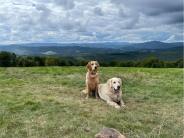 2eaa08577632d1801b33e95adea2219b_184