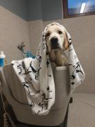 2eea885dead00ed34cc933bd055f4ee3_138x184_fill