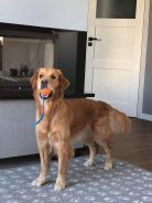 2f28bc29920fc5cfe3bc1c779b26902b_138x184_fill