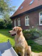 30392974499b6583f5b0041aced297a7_138x184_fill