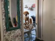 311b034bfe0183a061da31117bf0d6e9_184