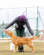 312242fde31e7880b6b7a9fb06e9f860_144x180