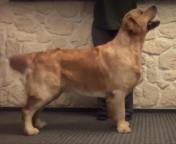 31bab1bb40fe07052a7ed8a8b7693547_176