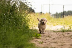 31db7988e8e521235544bd6097c30869_246